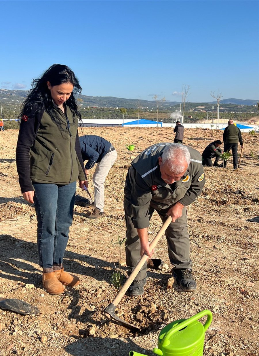 Mersin’de Otoban Yol Kenarları Ağaçlandırılıyor