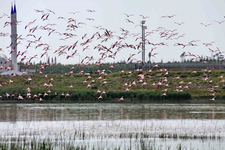 Nöhü, Dünya Yeşil Kampüs Sıralamasında İlk 300’e Girdi