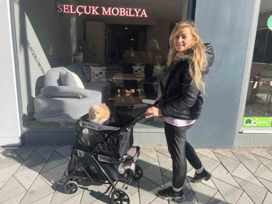 Köpeğini Gezdirme Arabasıyla Bebek Gibi Dolaştırıyor