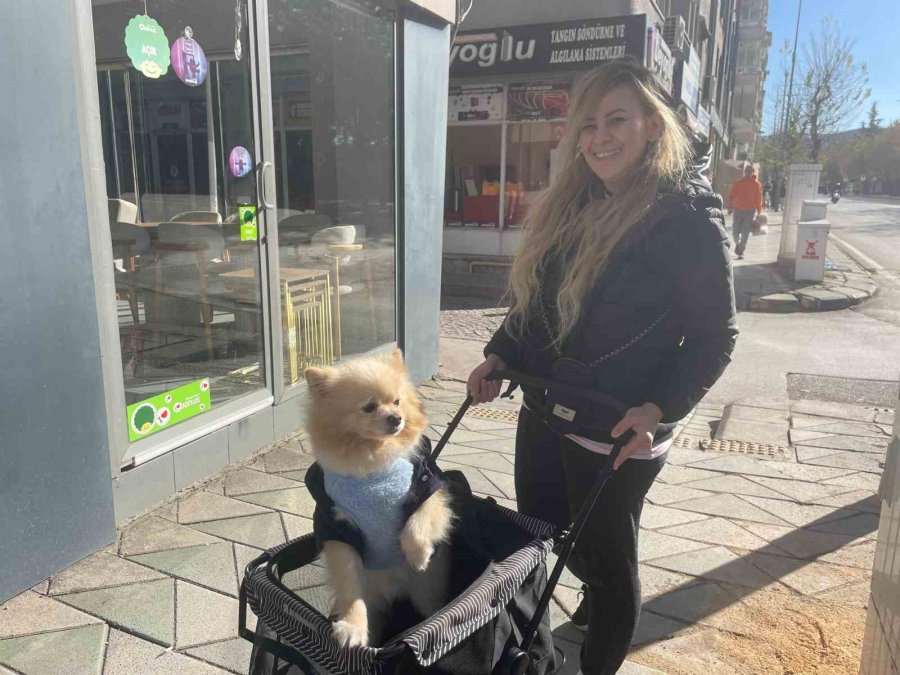 Köpeğini Gezdirme Arabasıyla Bebek Gibi Dolaştırıyor