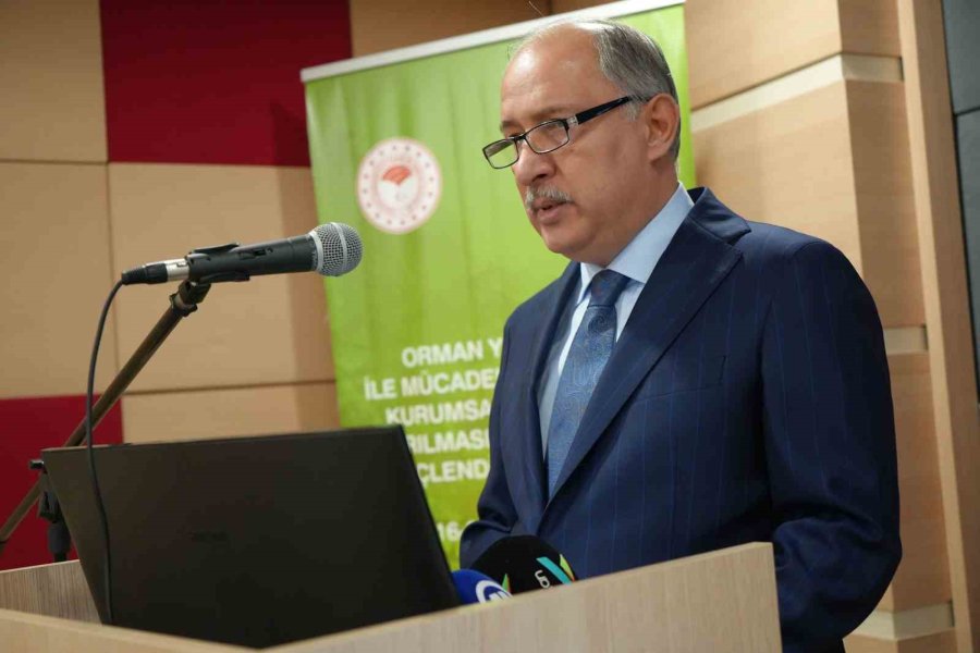 2024 Yılında Yangınlarda 28 Bin Hektar Orman Zarar Gördü