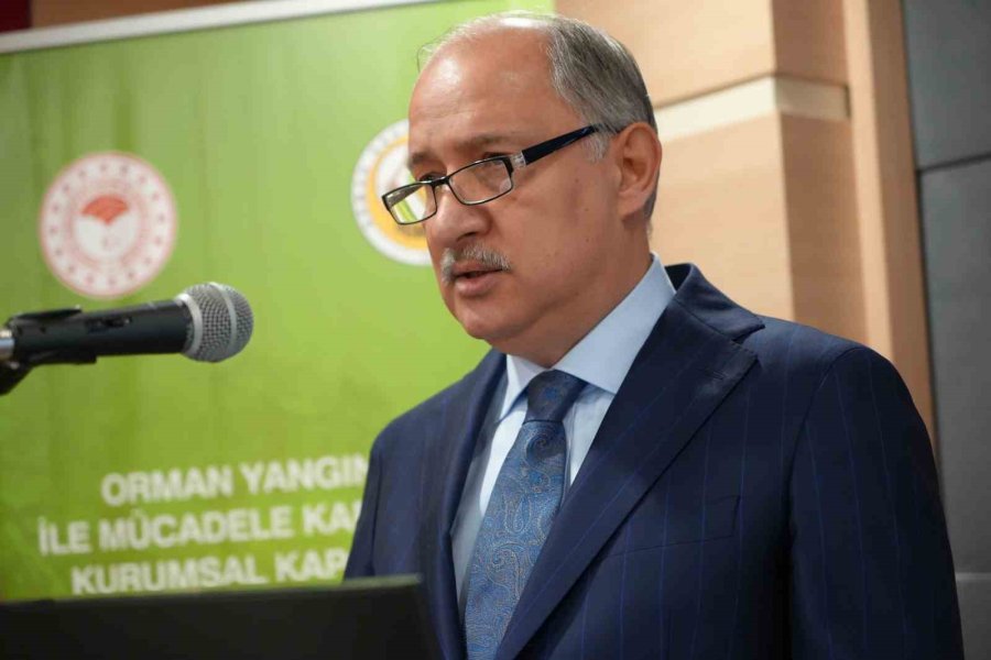 2024 Yılında Yangınlarda 28 Bin Hektar Orman Zarar Gördü