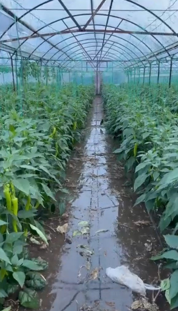 Antalya’nın İlçelerinde Sağanak Etkili Oldu, Ev Ve Seraları Su Bastı, Dağdan Sürüklenen Kaya Parçaları Yolu Kapattı