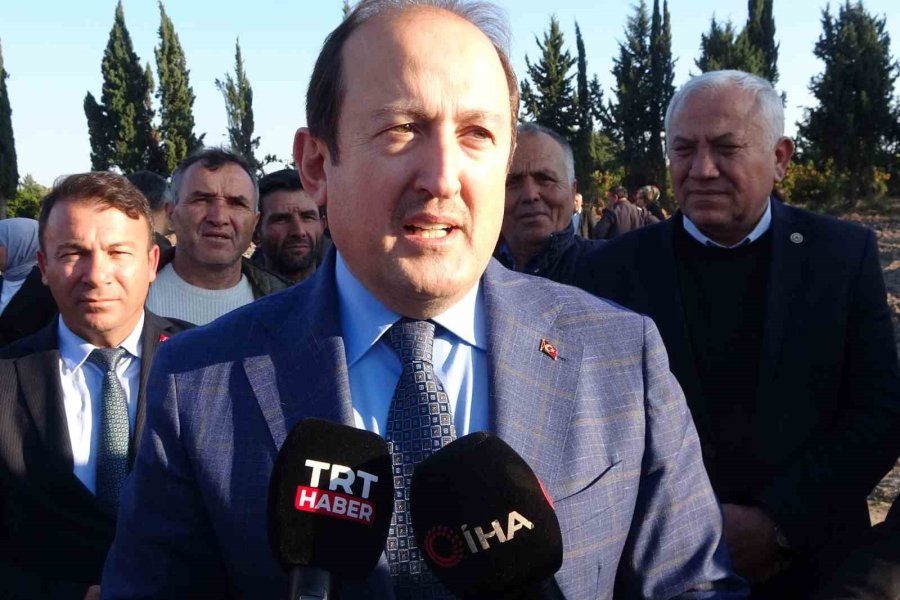 Birinci Derece Tarım Arazisi Olmayan Alanlarda ’kestane’ Yetişecek