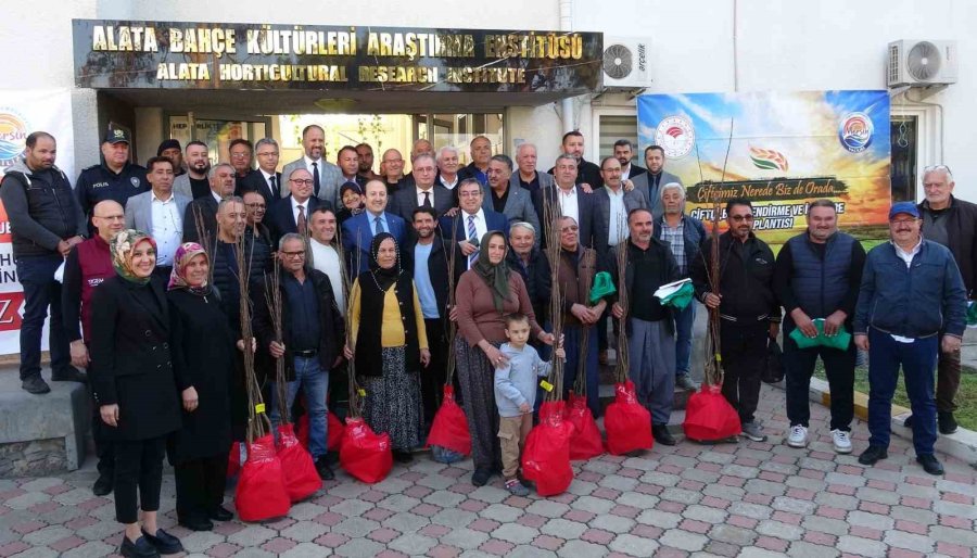 Birinci Derece Tarım Arazisi Olmayan Alanlarda ’kestane’ Yetişecek