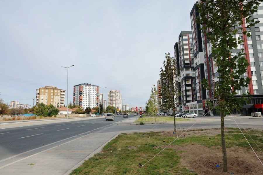 Başkan Çolakbayrakdar: "yeşil Alanda Dünya Standardını 3’e Katlayacağız"