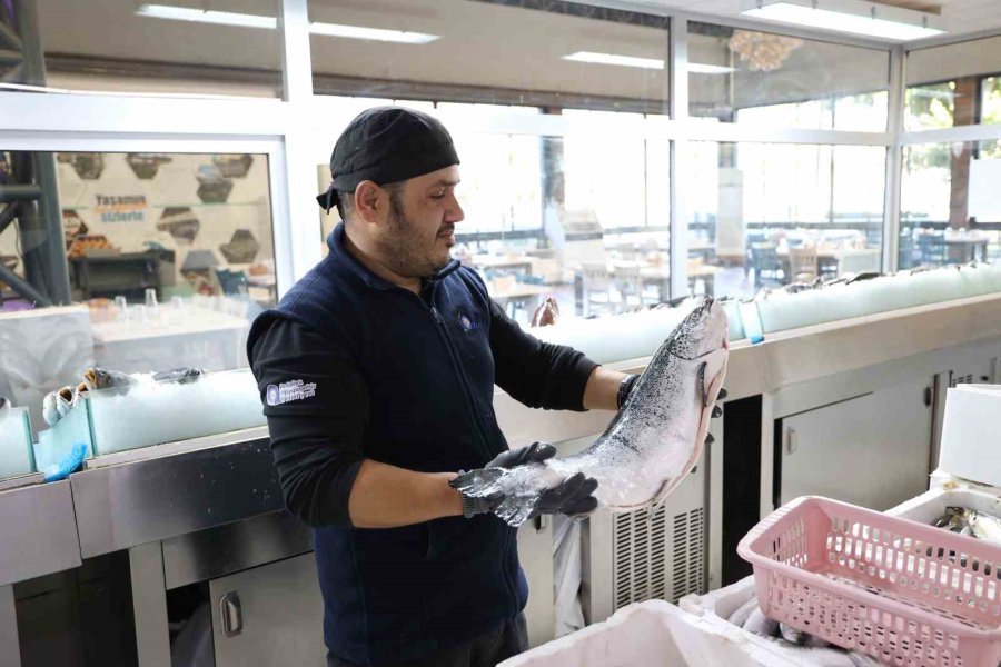 Antalya’da Taze Balığın Adresi Düden Balık Çarşısı