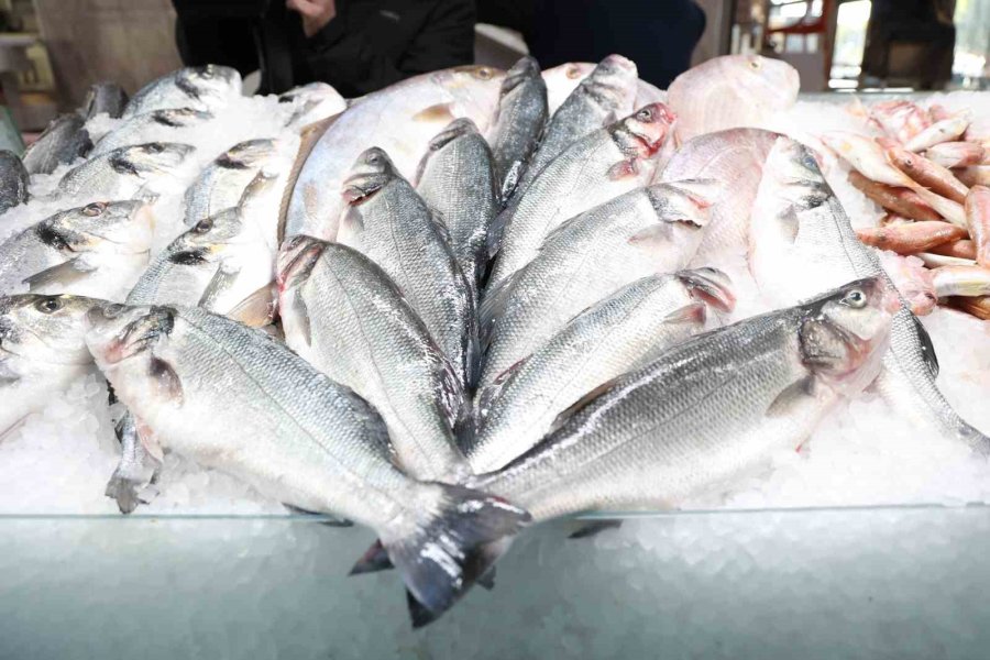 Antalya’da Taze Balığın Adresi Düden Balık Çarşısı