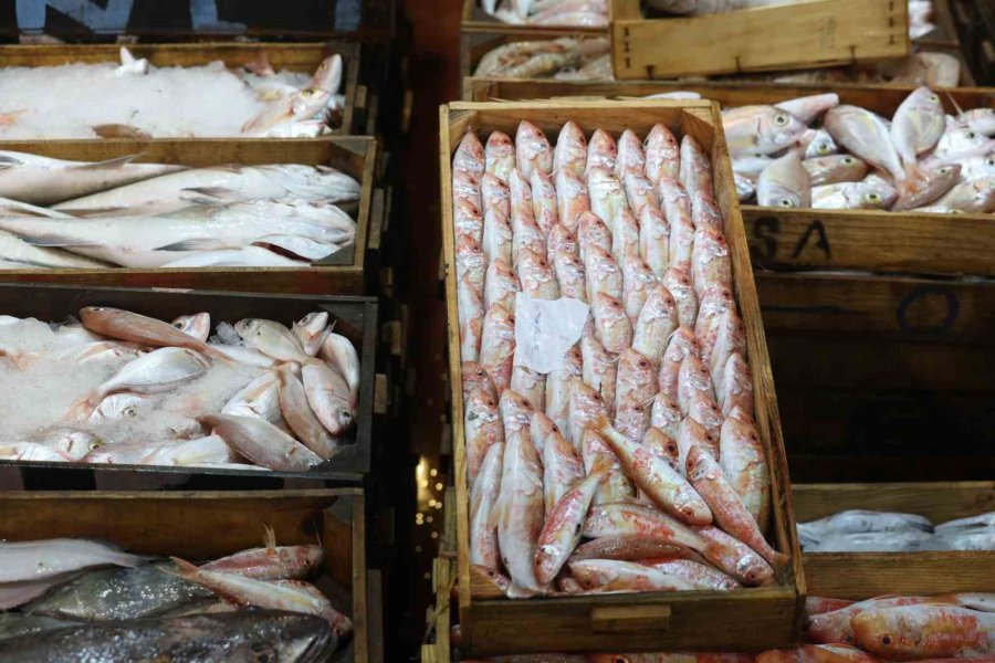 Antalya’da Taze Balığın Adresi Düden Balık Çarşısı