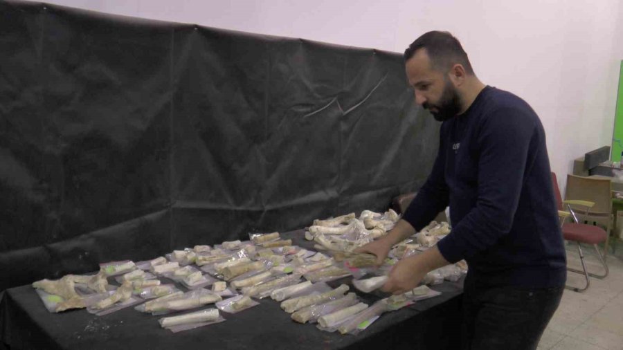 Taşhan’da 2024’te 115 Fosil Bulundu