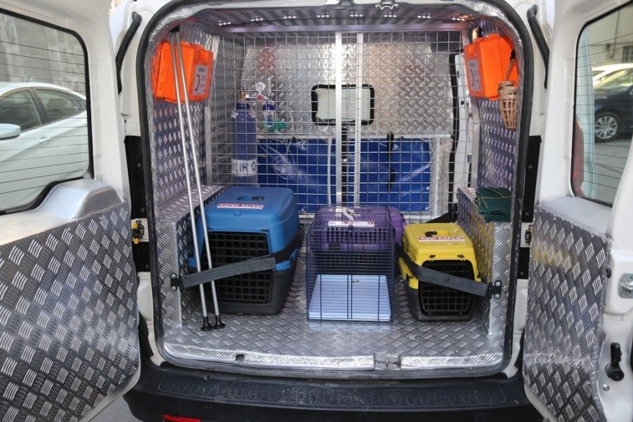 Küçük Dostlar Ambulansı İle 8 Bin 753 Can Kurtarıldı