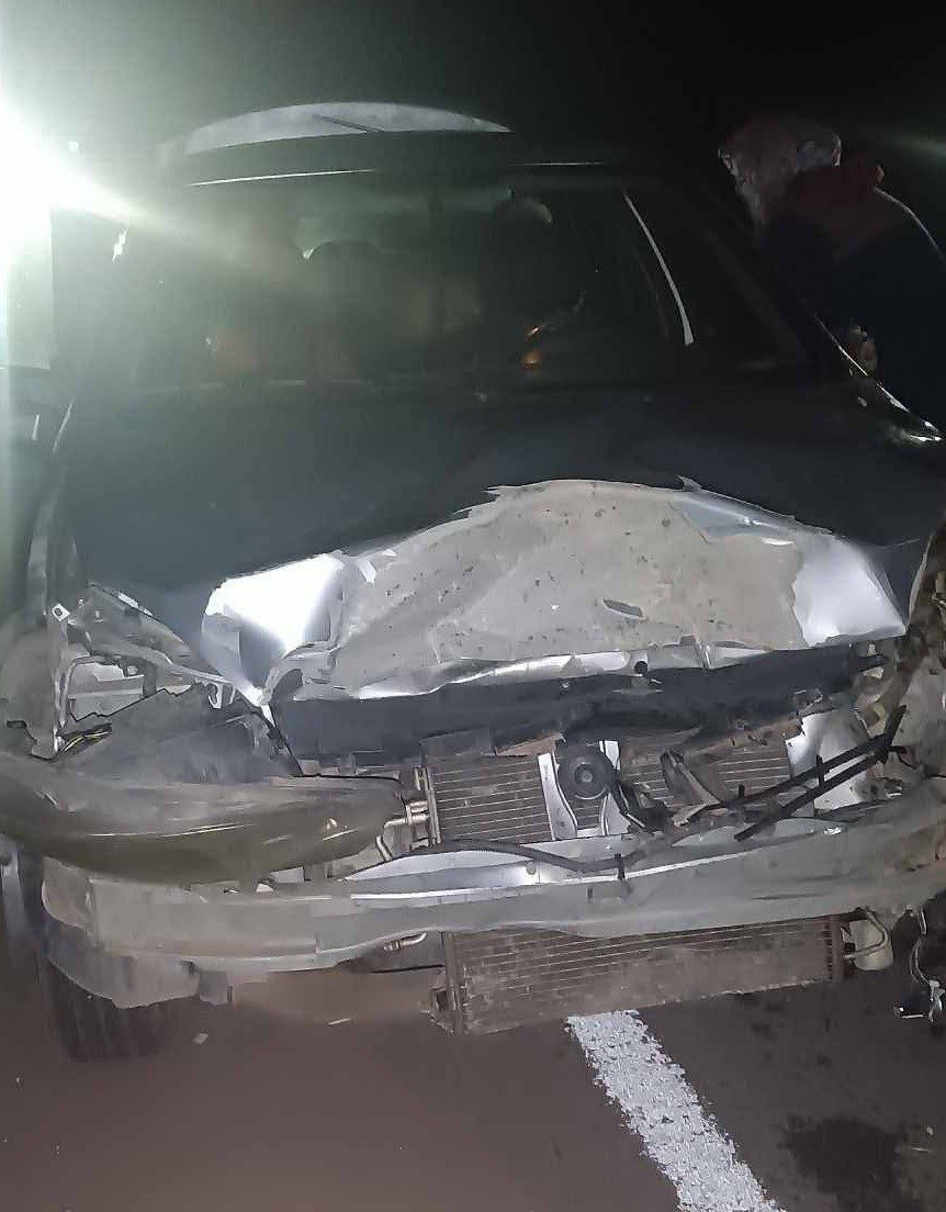 Mersin’de Trafik Kazası 4 Hayvan Telef Oldu