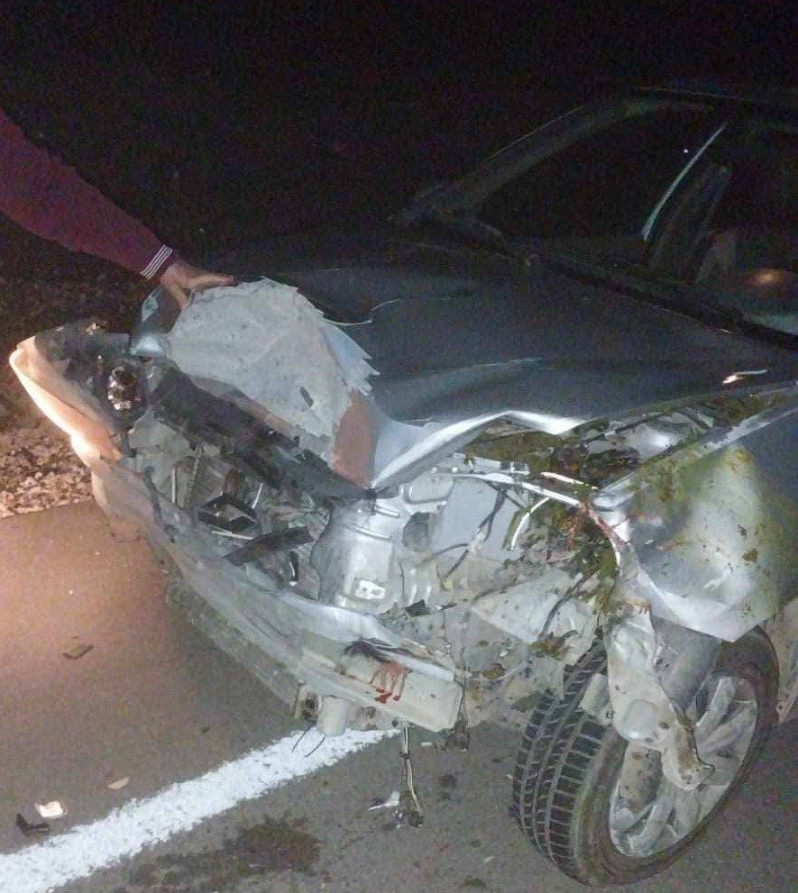 Mersin’de Trafik Kazası 4 Hayvan Telef Oldu