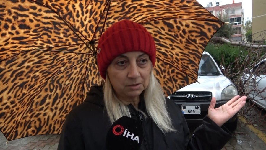 Şiddetli Rüzgarın Ortadan İkiye Ayırdığı Ağaç 3 Aracın Üzerine Devrildi