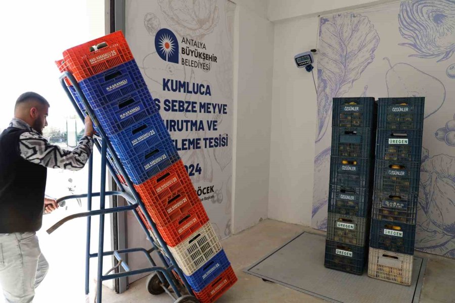 Kurutma Tesisi İsrafı Önlüyor, Üretim Fazlası Ürünler Ekonomiye Kazandırılıyor