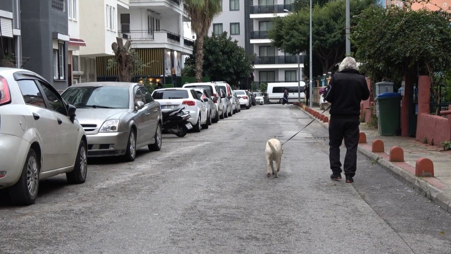 Komşuların Rahatsız Olduğu Labrador Cinsi Köpek İçin Sahibinden Pankartlı Tepki