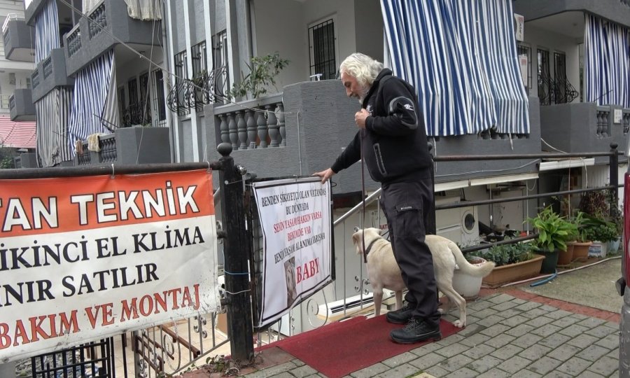 Komşuların Rahatsız Olduğu Labrador Cinsi Köpek İçin Sahibinden Pankartlı Tepki