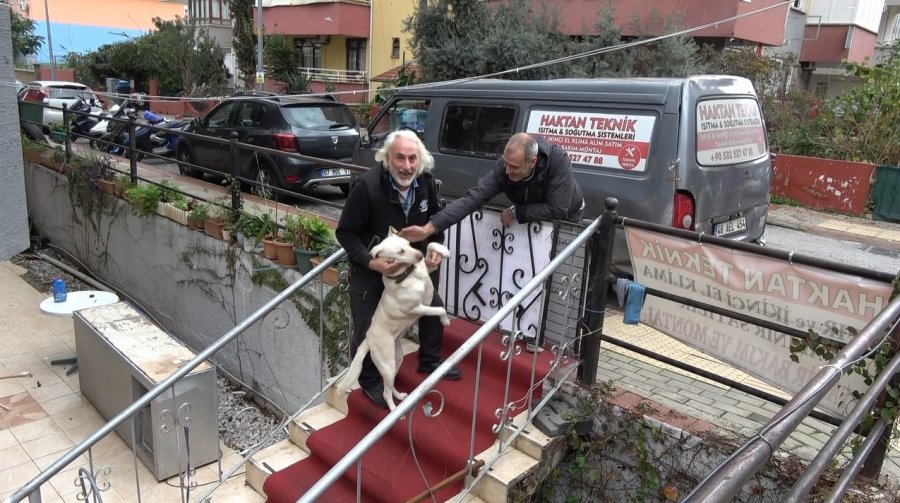Komşuların Rahatsız Olduğu Labrador Cinsi Köpek İçin Sahibinden Pankartlı Tepki