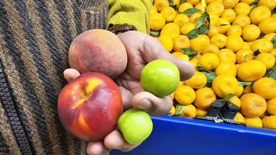 Mevsim Dışı Meyveler Hamileler İçin Tezgahlarda