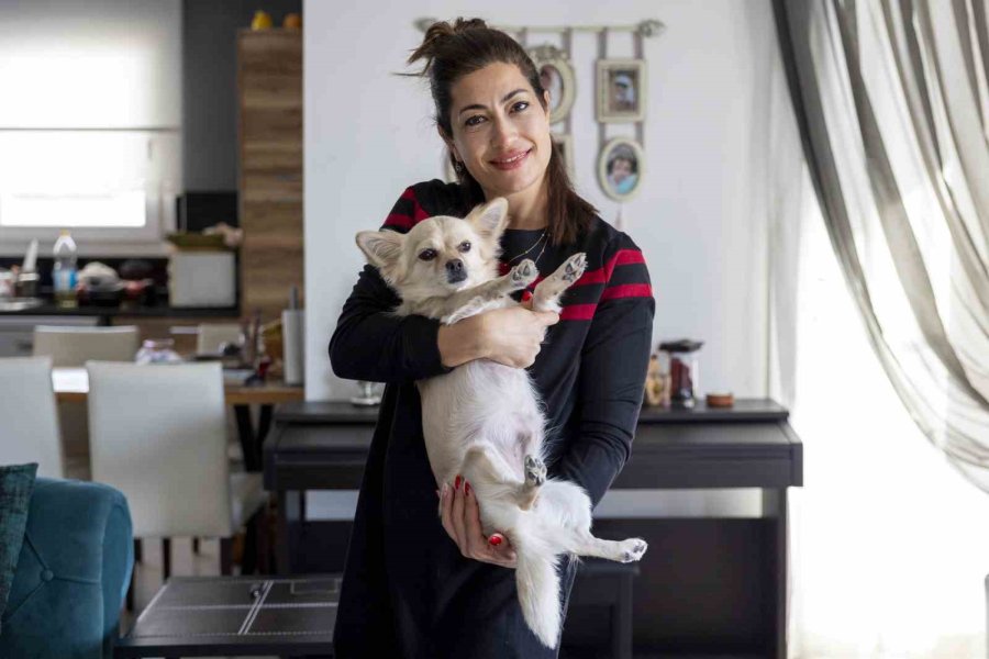 Mersin’de ’yaşamı Sahiplen Destek Büyükşehirden’ Kampanyasında 407 Hayvan Sahiplendirildi