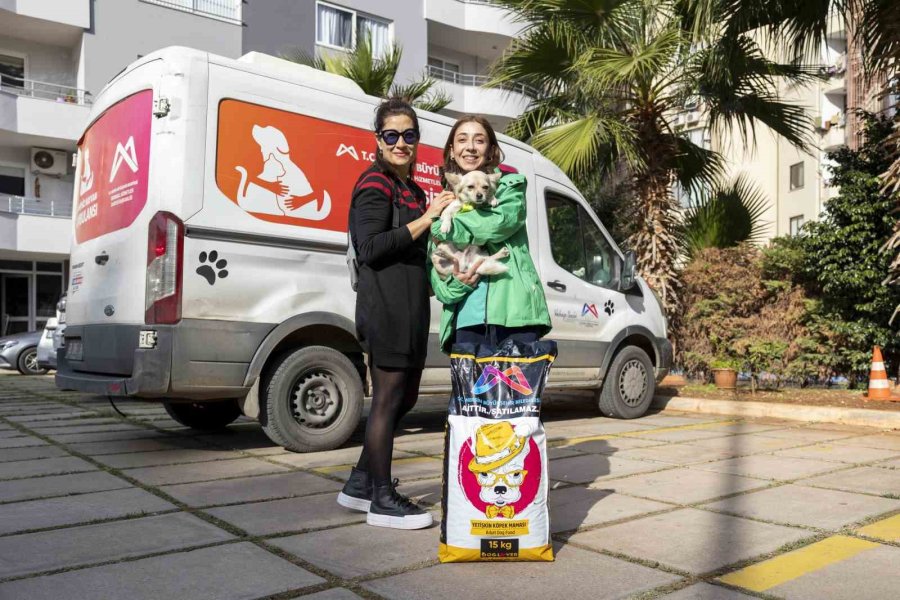 Mersin’de ’yaşamı Sahiplen Destek Büyükşehirden’ Kampanyasında 407 Hayvan Sahiplendirildi