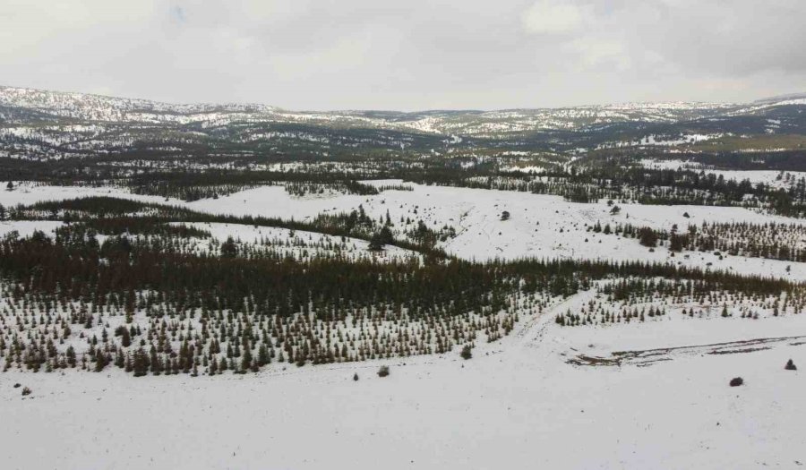 Toroslarda Kar Güzelliği