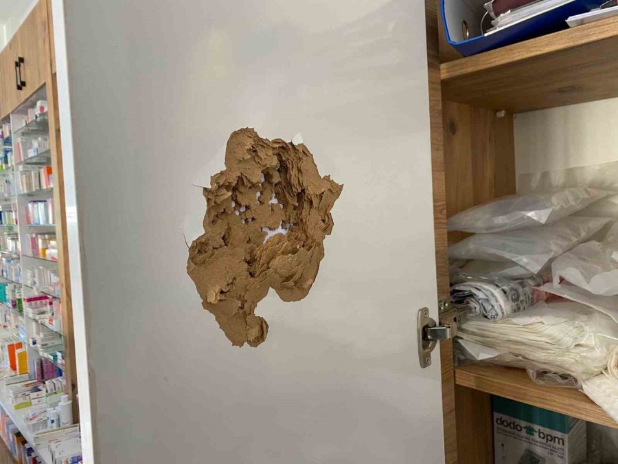 Kızıyla Boşanma Aşamasındaki Damadının Eczanesine Av Tüfeğiyle Saldırdı