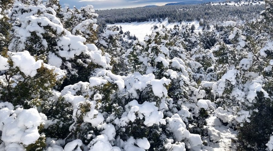 Mersin’de Yaylalar Karla Kaplandı