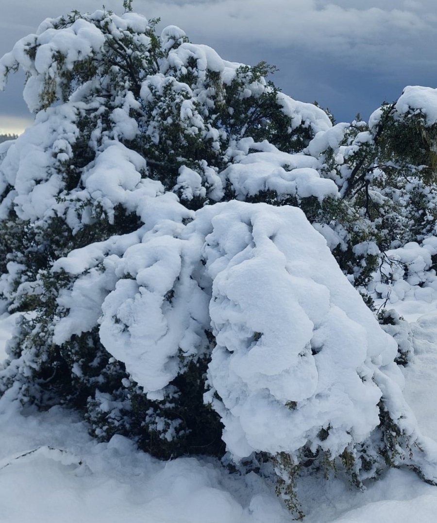 Mersin’de Yaylalar Karla Kaplandı