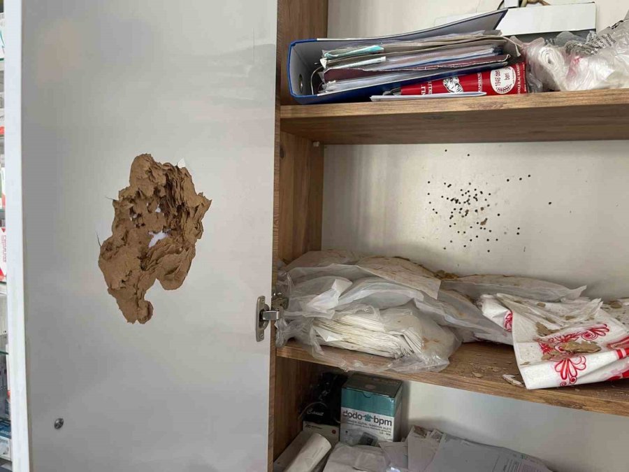 Damadının Eczanesine Av Tüfeğiyle Saldıran Kayınpeder: "kızımı Darp Ediyordu"