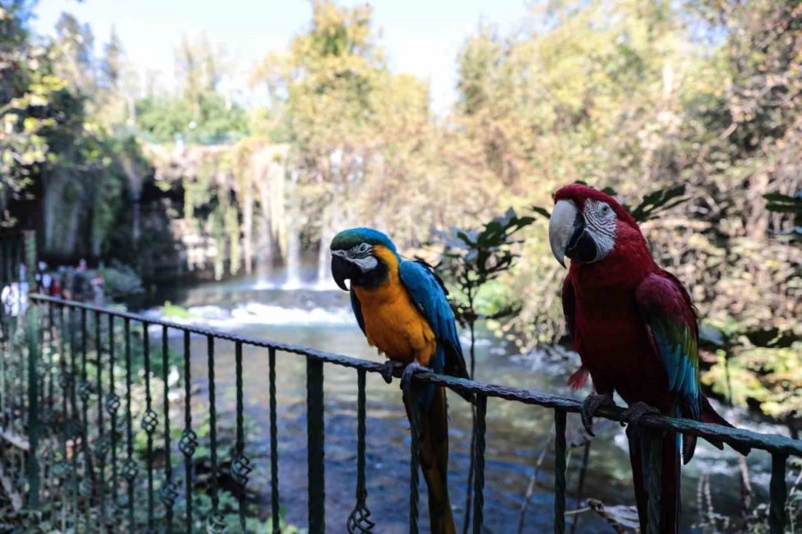 Düden Şelalesi 2024 Yılında 840 Bin Ziyaretçiyi Ağırladı