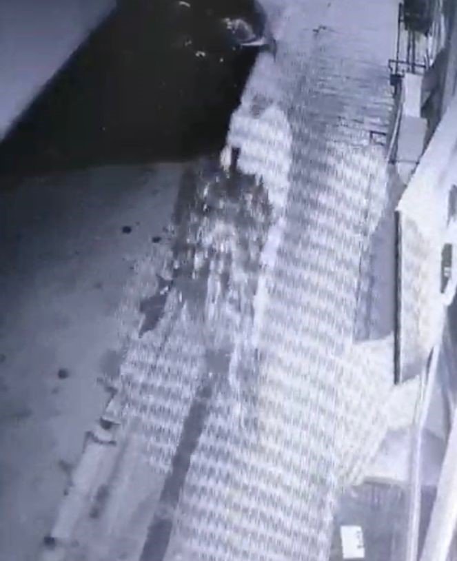 Bu Da Oldu: Dükkanın Önündeki Çam Ağacı Çalındı