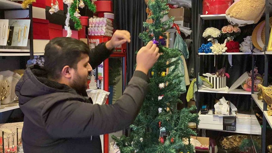 Bu Da Oldu: Dükkanın Önündeki Çam Ağacı Çalındı