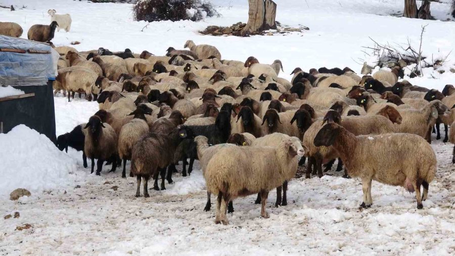 Mersin’de Karla Mücadele, Yörüklerin Kapanan Yolları Açıldı