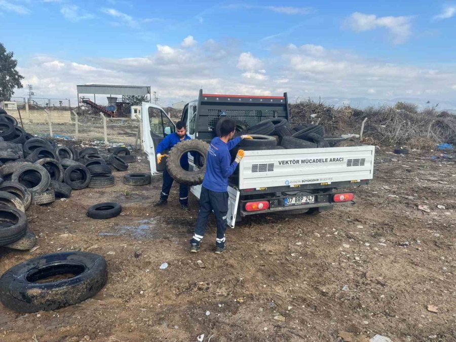 Sineklerin Üreme Alanı Lastikler Toplanıyor