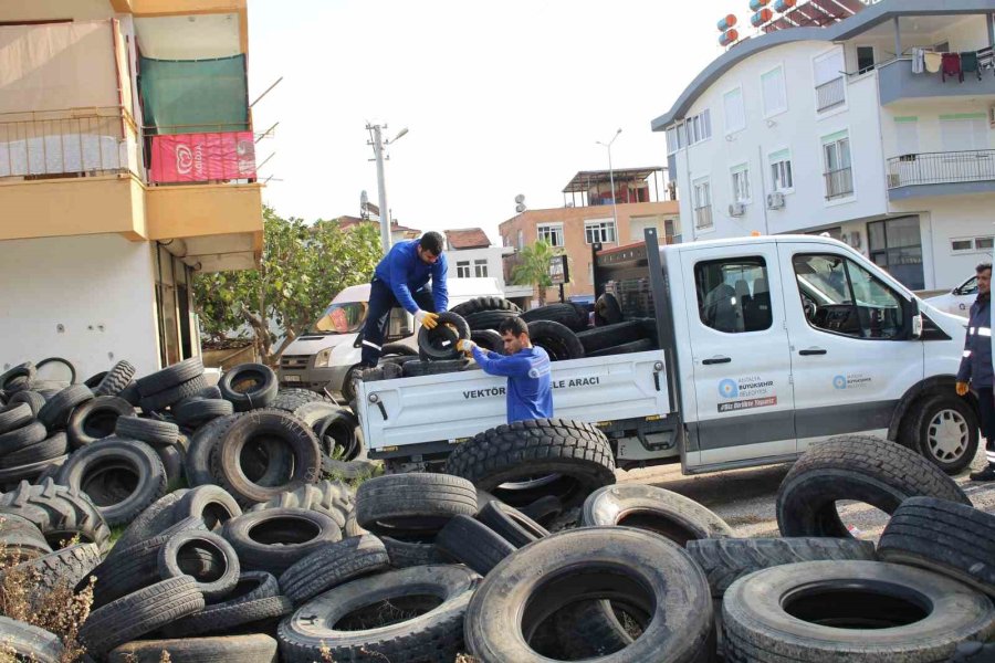 Sineklerin Üreme Alanı Lastikler Toplanıyor