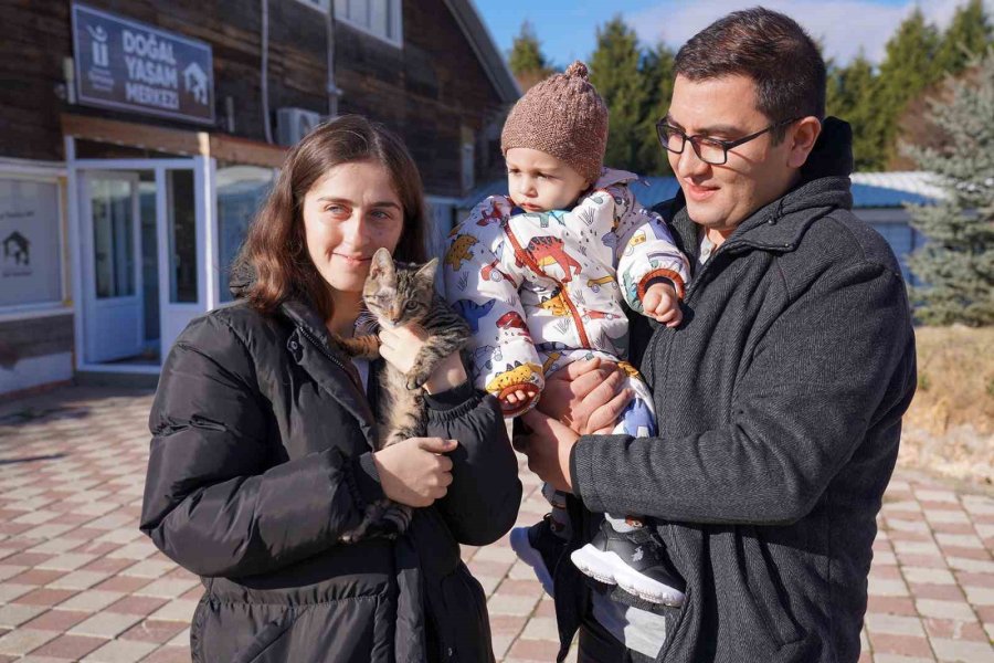 2024’te 607 Can Sıcak Bir Yuvaya Kavuştu