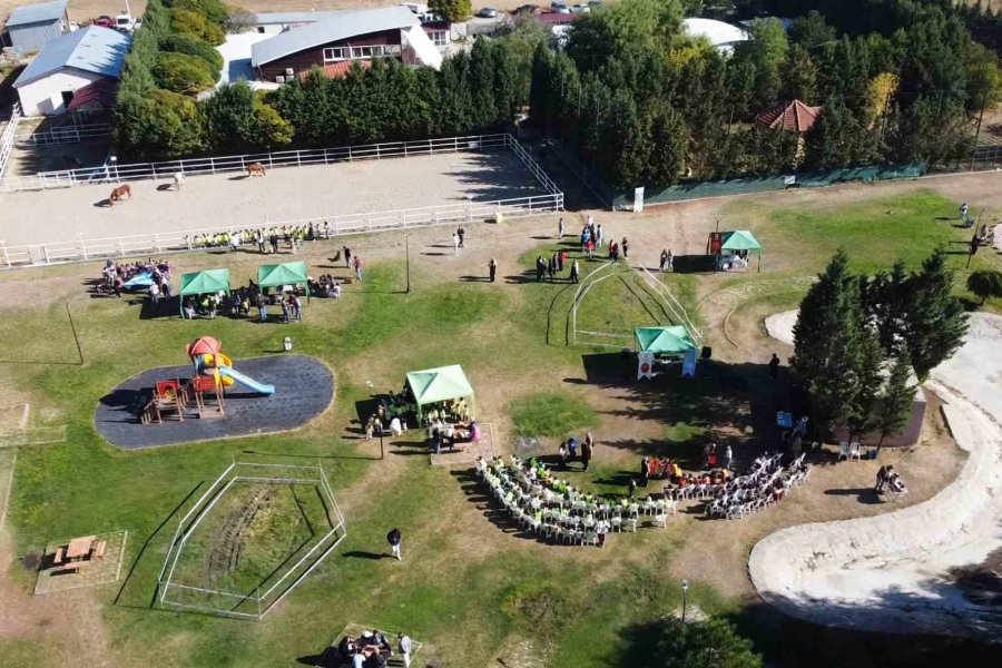 2024’te 607 Can Sıcak Bir Yuvaya Kavuştu