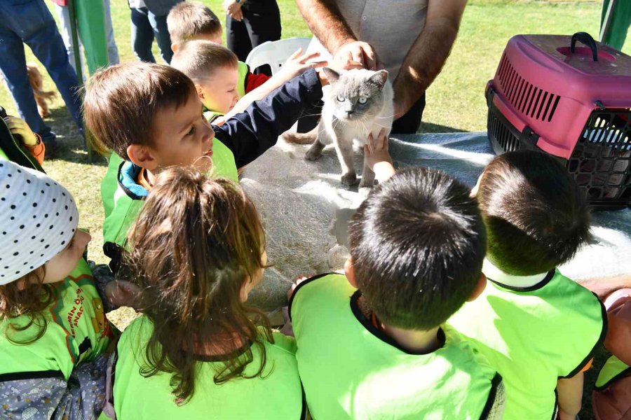 2024’te 607 Can Sıcak Bir Yuvaya Kavuştu