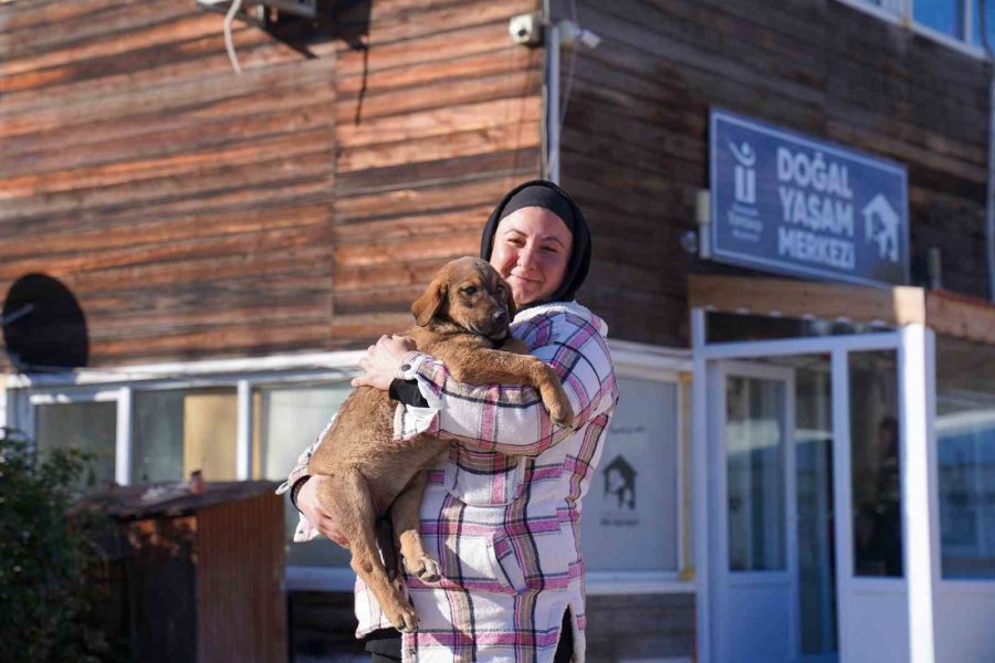 2024’te 607 Can Sıcak Bir Yuvaya Kavuştu