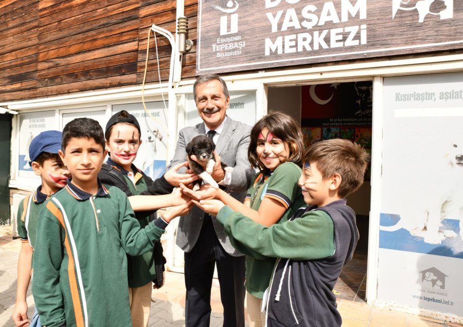 2024’te 607 Can Sıcak Bir Yuvaya Kavuştu