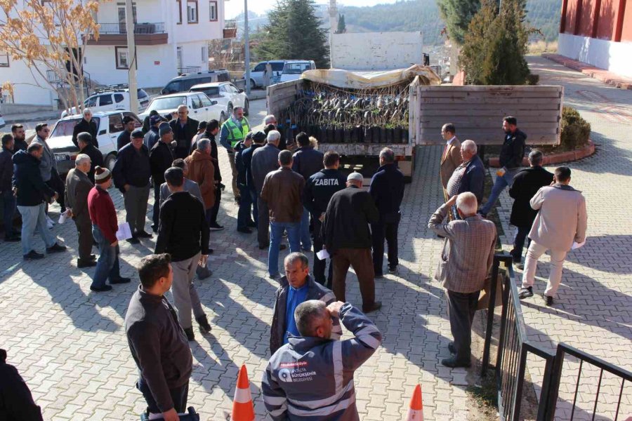 Elmalı’da 50 Çiftçiye Daha Toros Fıstığı Fidanı Hibe Edildi