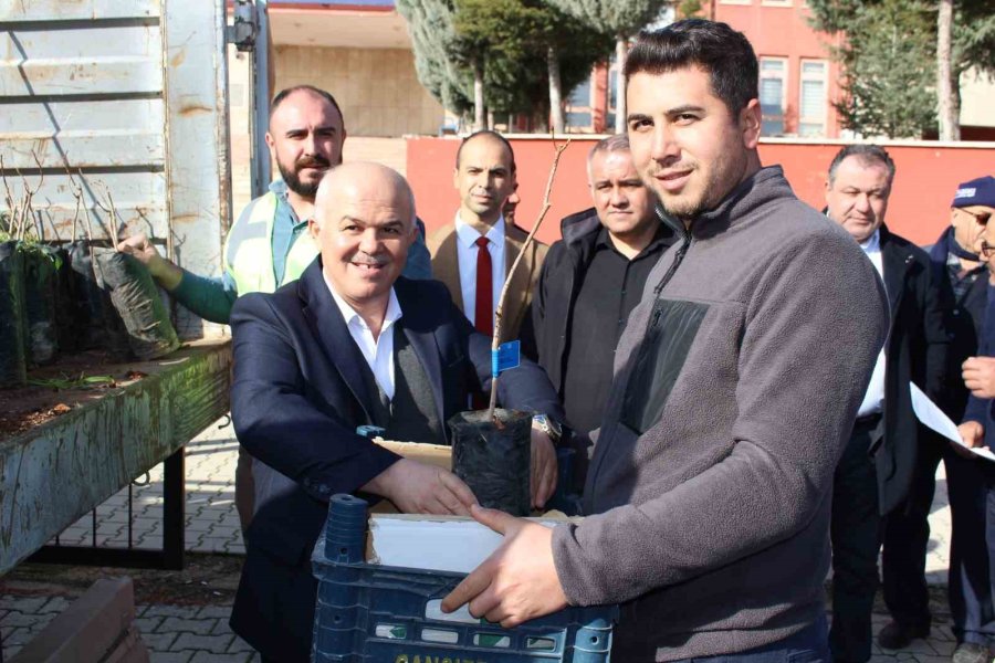 Elmalı’da 50 Çiftçiye Daha Toros Fıstığı Fidanı Hibe Edildi