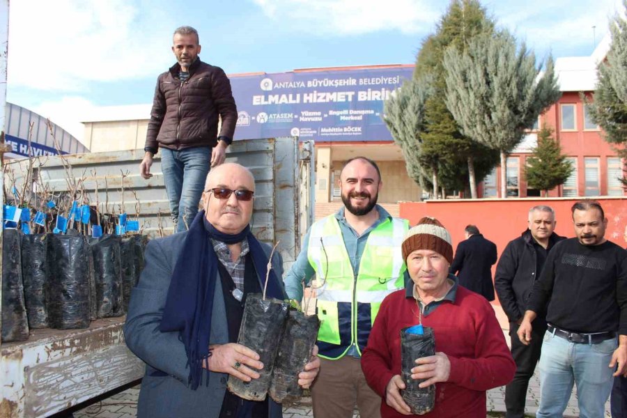 Elmalı’da 50 Çiftçiye Daha Toros Fıstığı Fidanı Hibe Edildi