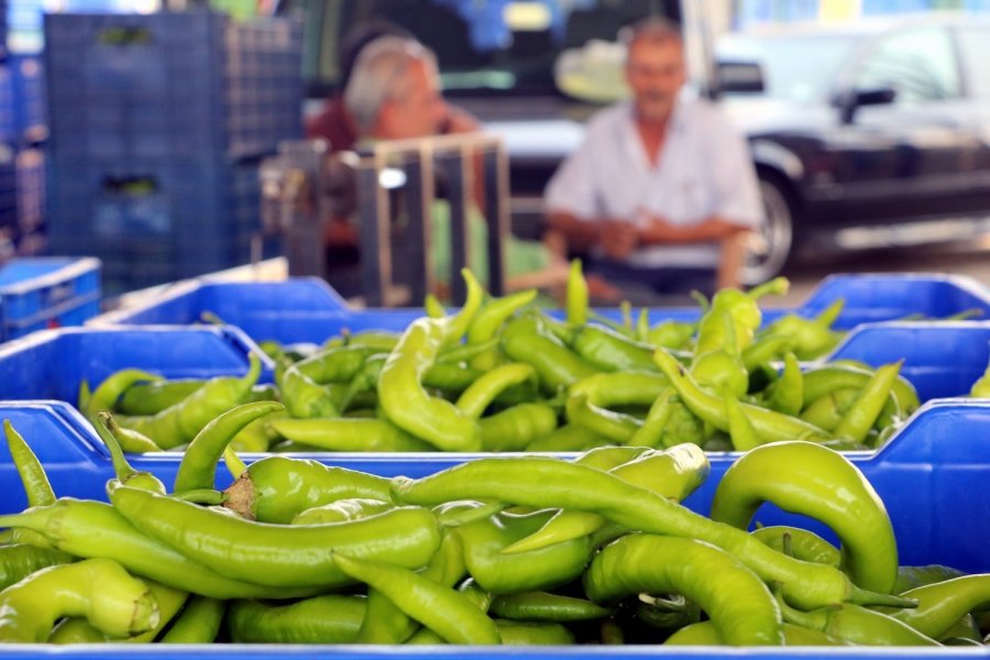 Antalya’da 2024’te Üretilen Sebze Miktarı Yüzde 20 Düştü