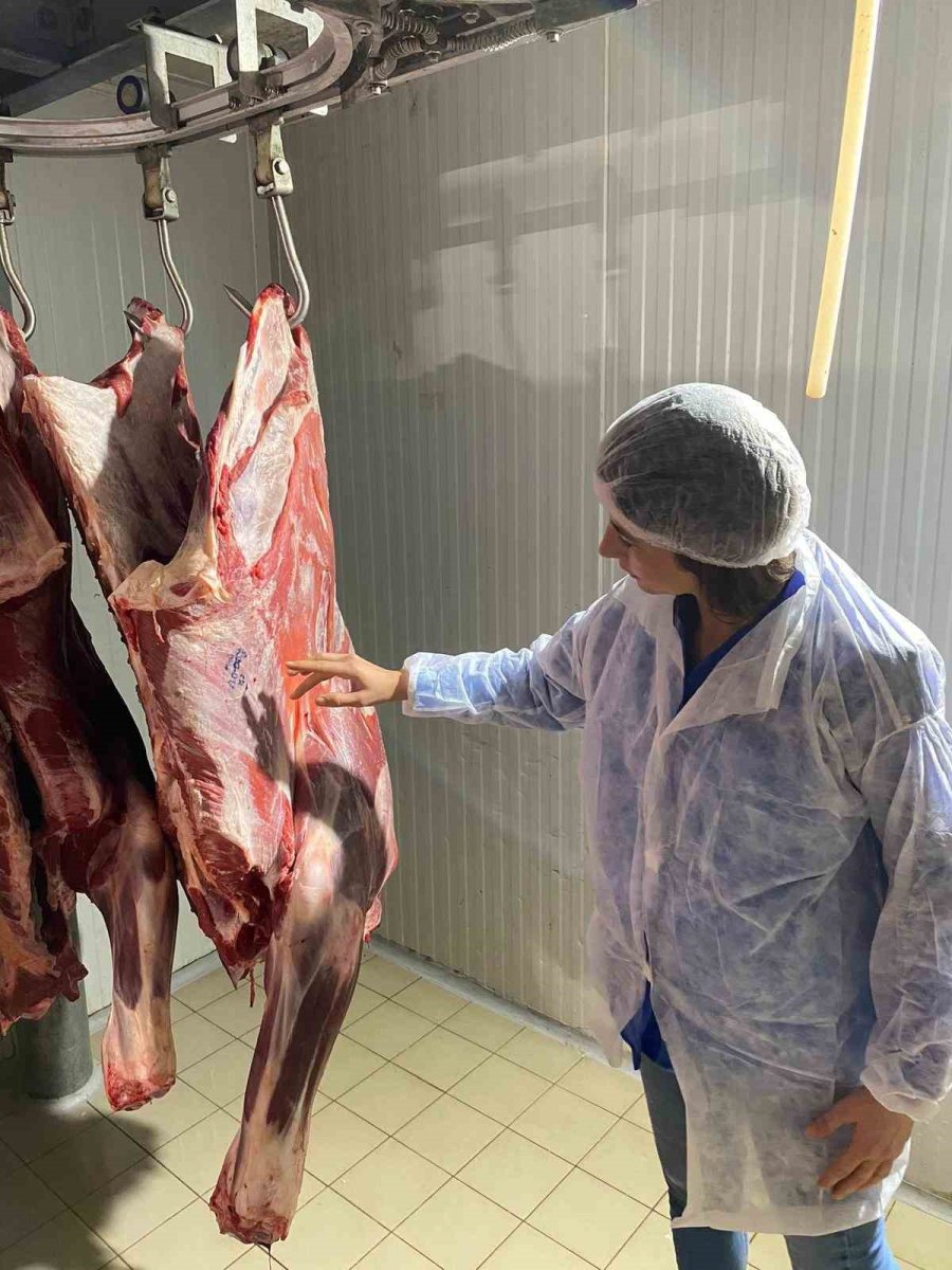 Eskişehir’de 2024’te Gıda Güvenliği İçin 10 Bin 651 Denetim