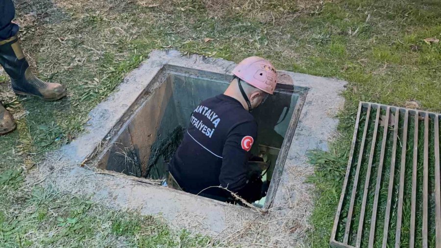 ‘kanalizasyonda Çocuk Var’ İhbarı Polis, İtfaiye Ve Sağlık Ekiplerini Alarma Geçirdi