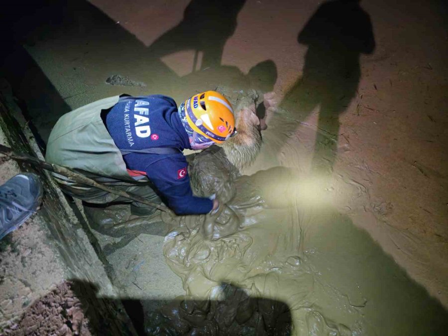 Çamur Çukuruna Düşen Köpek Kurtarıldı