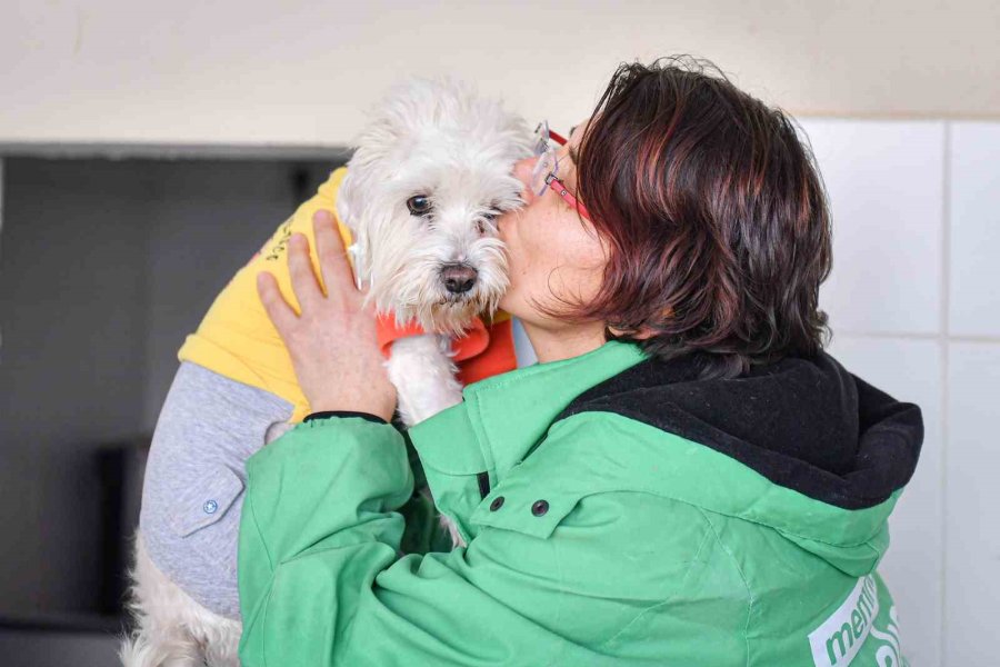 Mersin’de Bin Patili Dost Sıcak Yuvaya Kavuştu