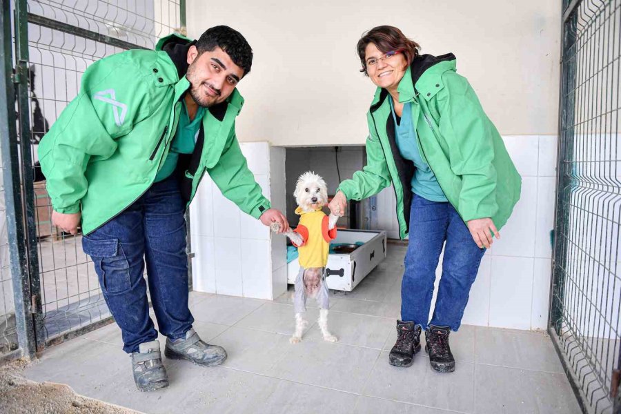 Mersin’de Bin Patili Dost Sıcak Yuvaya Kavuştu